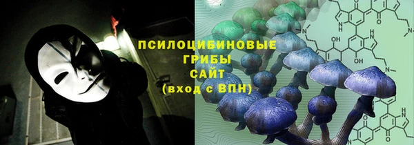 бошки Армянск